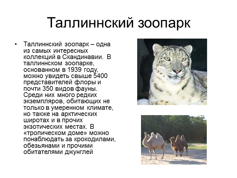 Таллиннский зоопарк Таллиннский зоопарк – одна из самых интересных коллекций в Скандинавии. В таллиннском